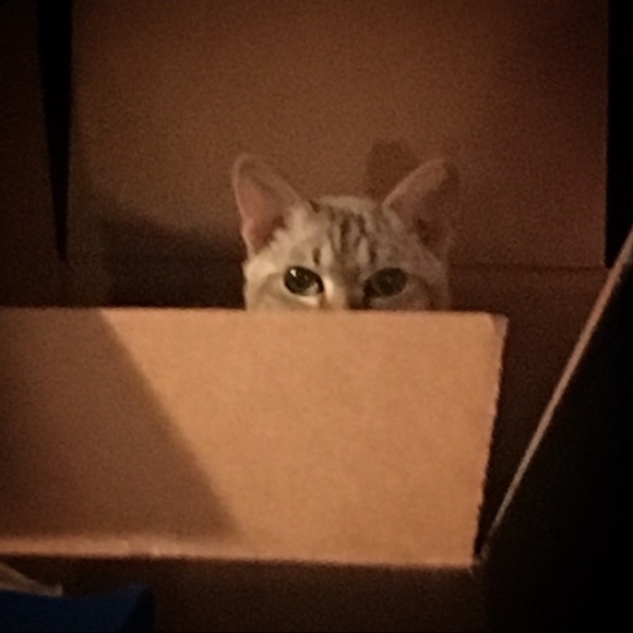 Meet your Posher, Mary - Picture 4 of 5